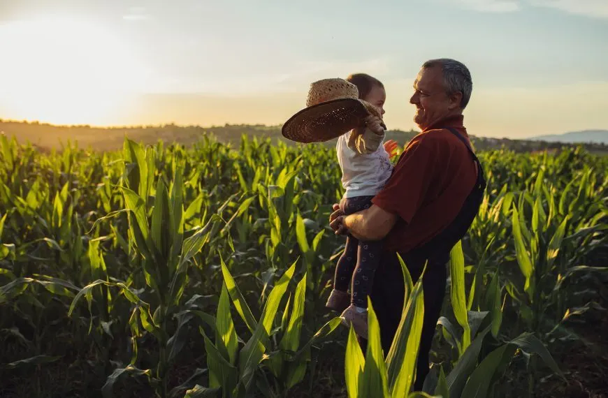 Navigating the New Tax Landscape: Intergenerational Farm Transfers and Bill C-208